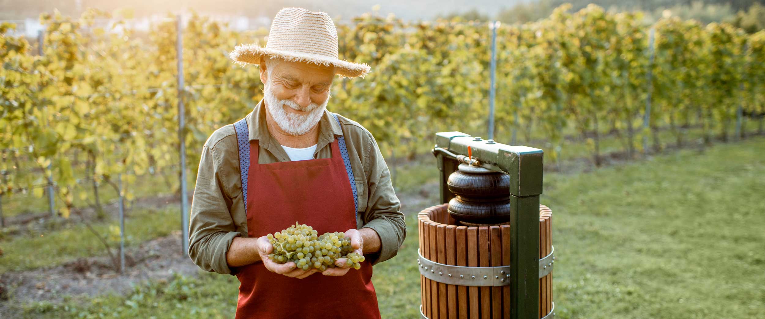 Why We Choose Small-Batch Wines Over Mass-Market Bottles