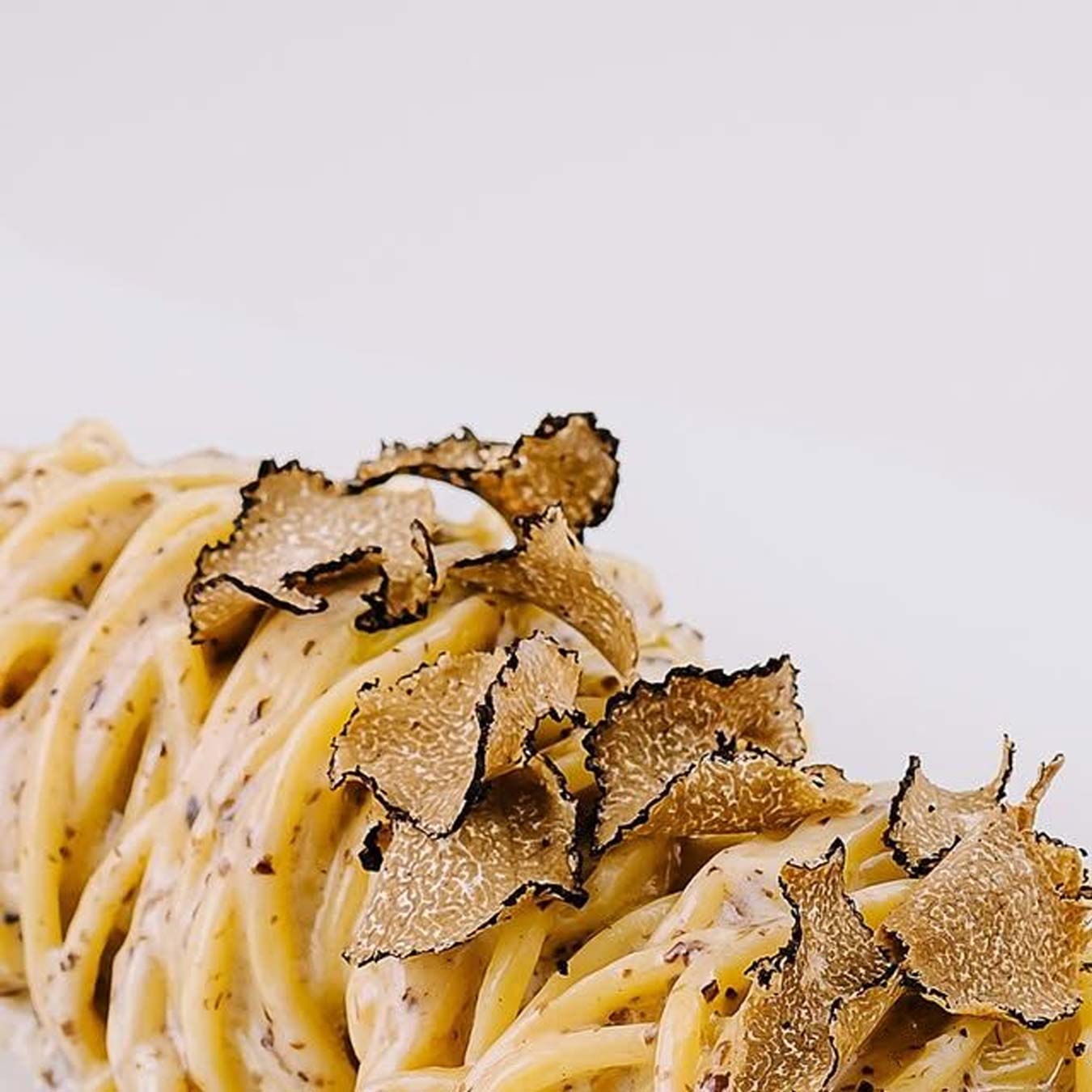 A single Monstera leaf in a clear glass vase against a white background.