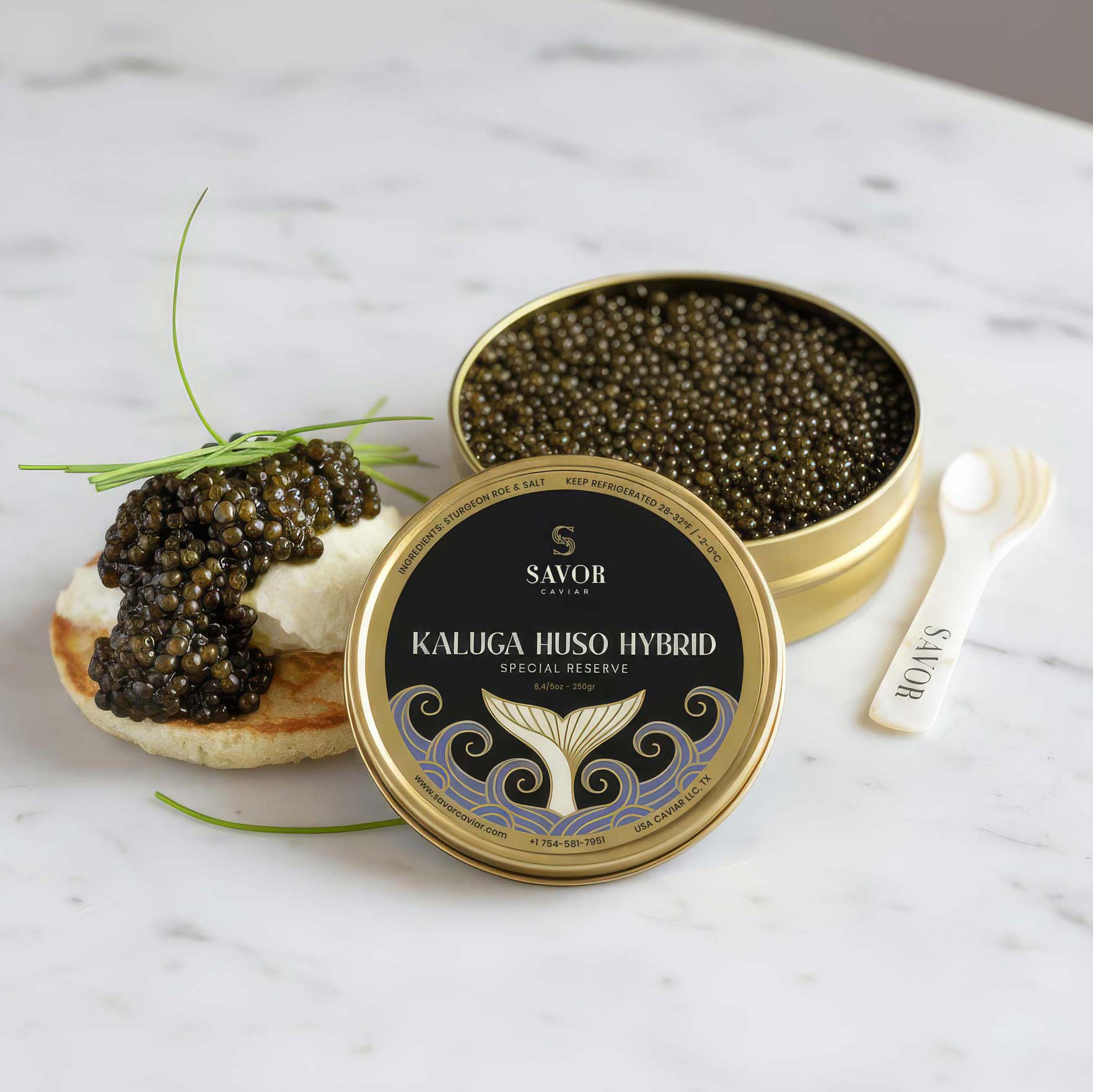 Green palm leaf beside two blank white cards on a white background.