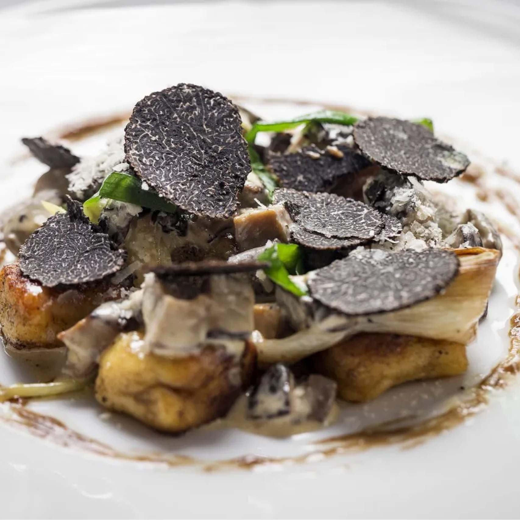 A single Monstera leaf in a clear glass vase against a white background.