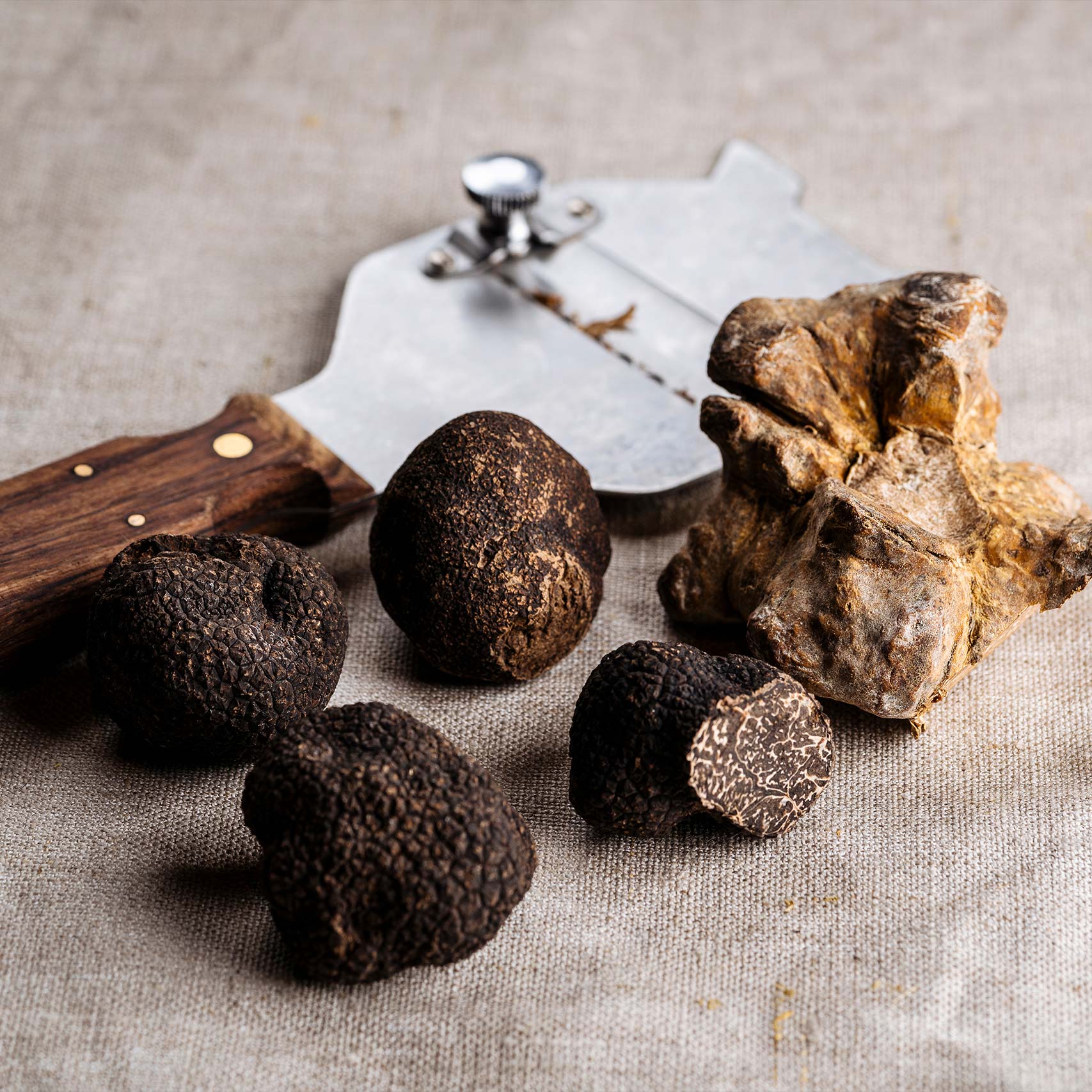 Green palm leaf beside two blank white cards on a white background.