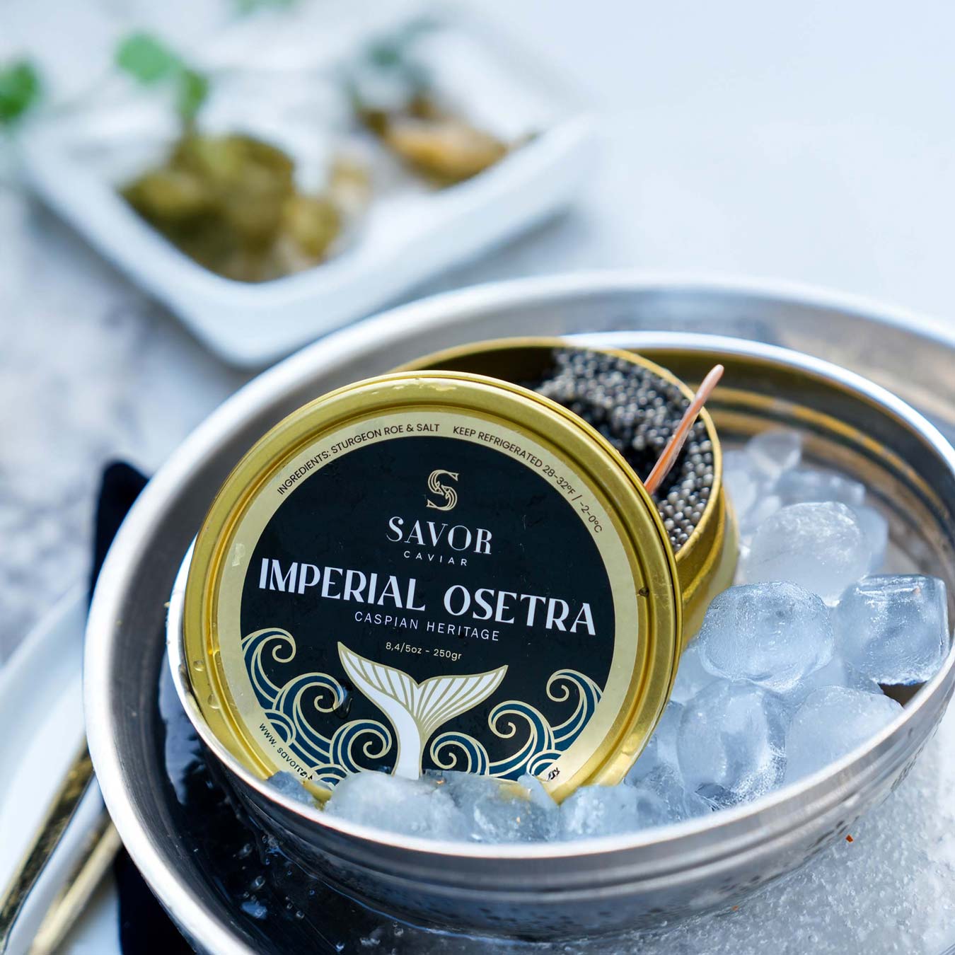 A single Monstera leaf in a clear glass vase against a white background.
