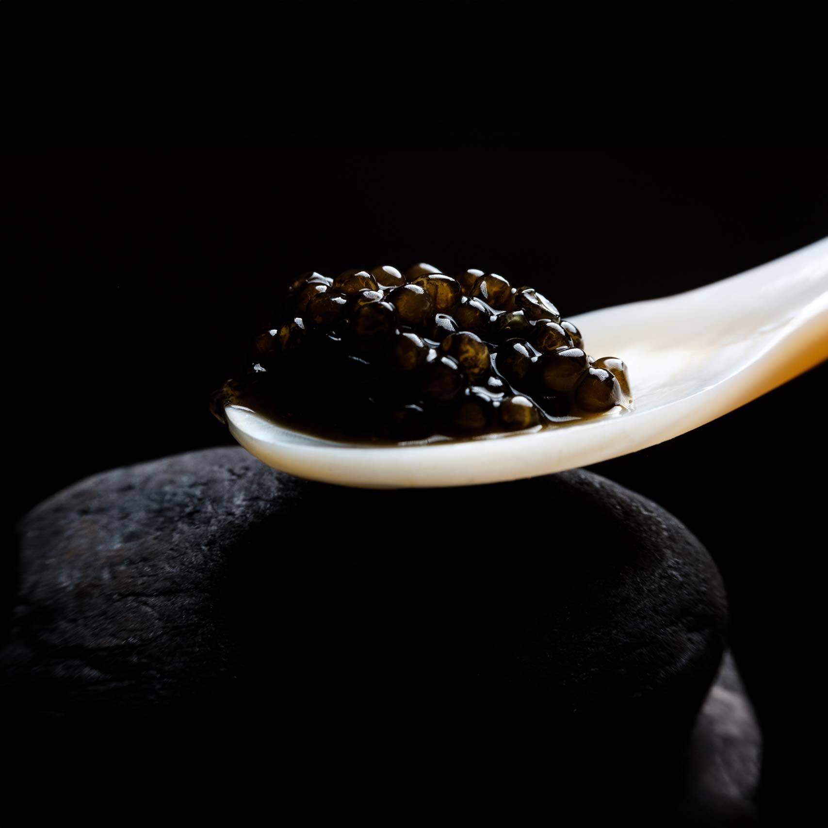 A single Monstera leaf in a clear glass vase against a white background.