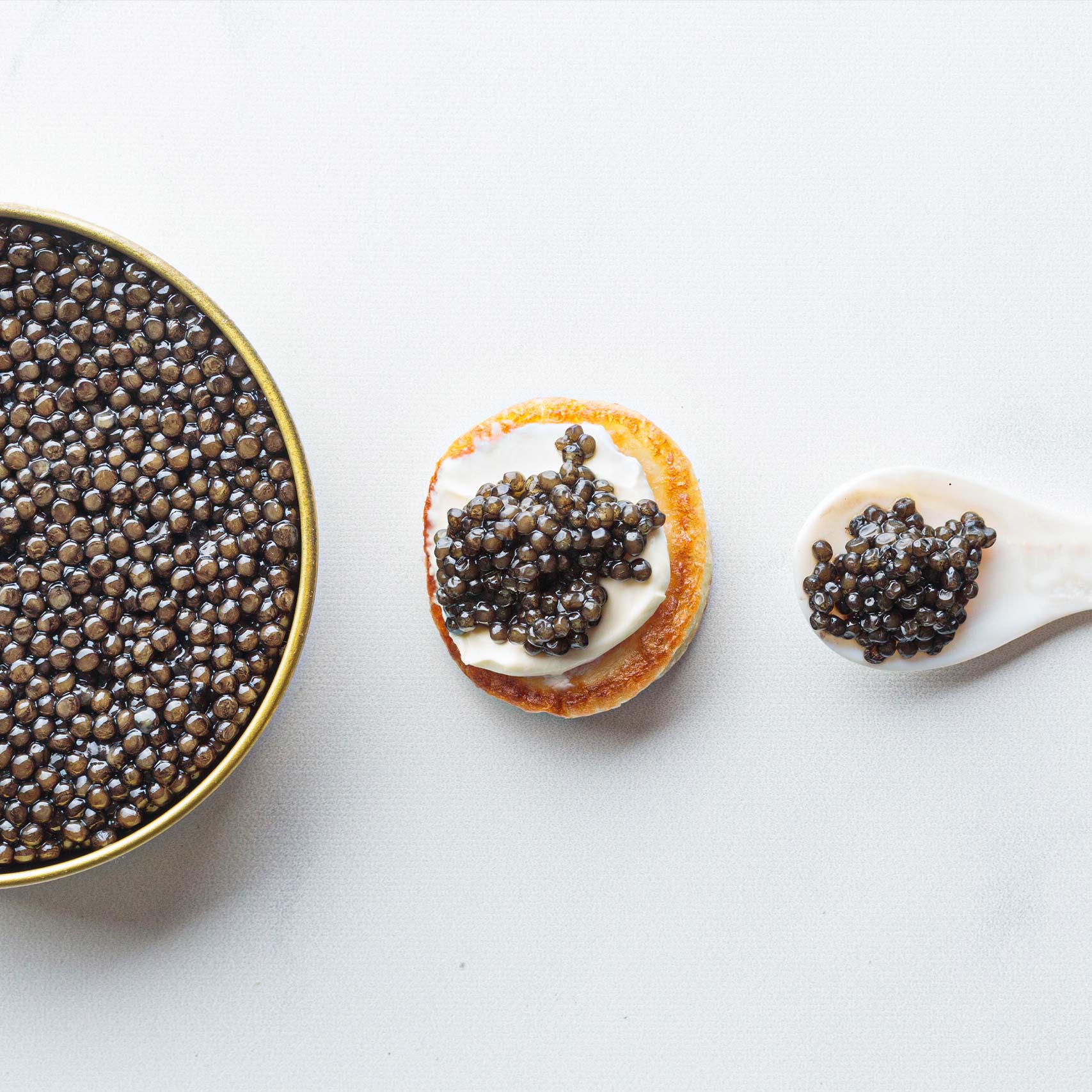 Green palm leaf beside two blank white cards on a white background.