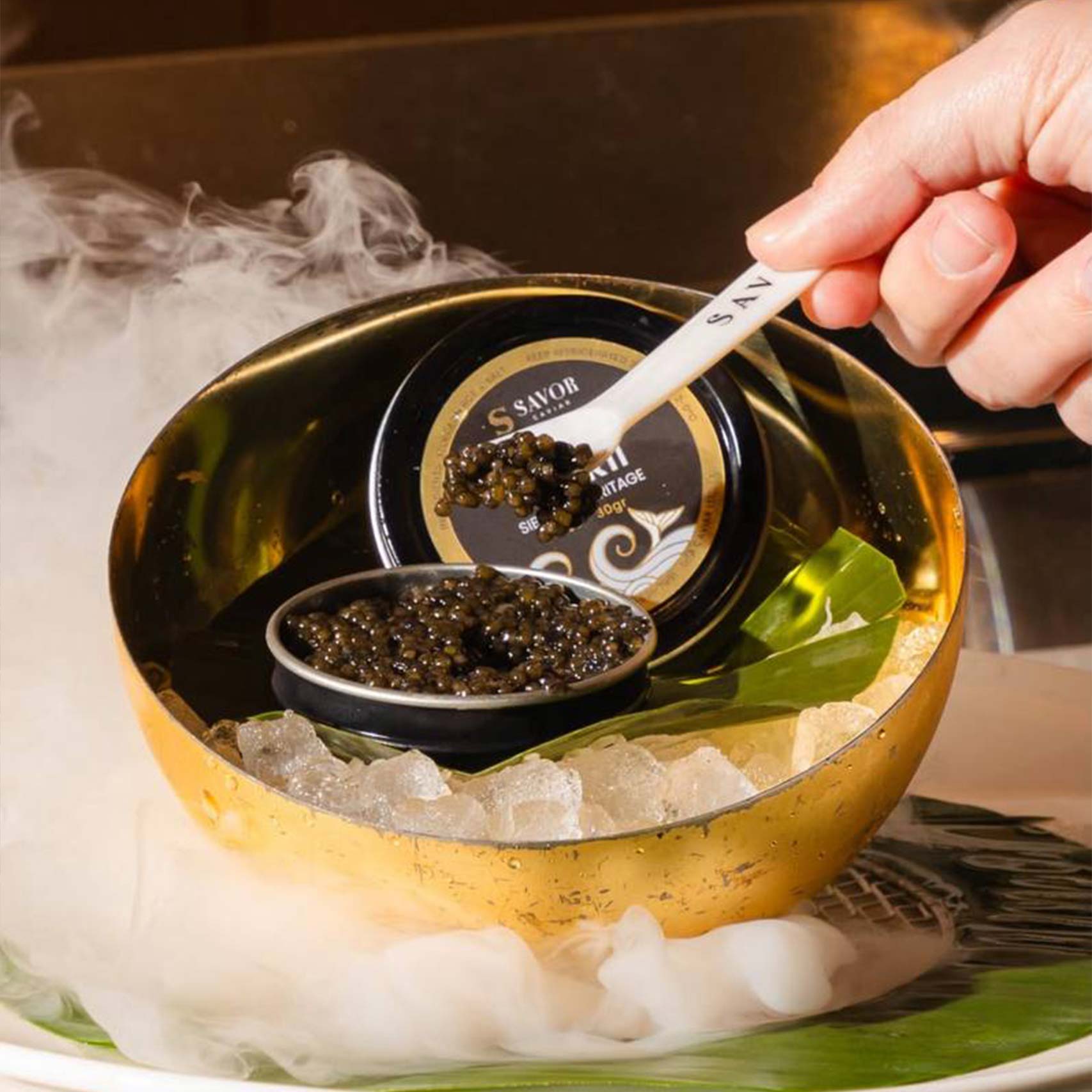 A single green leaf in a clear glass of water on white background.