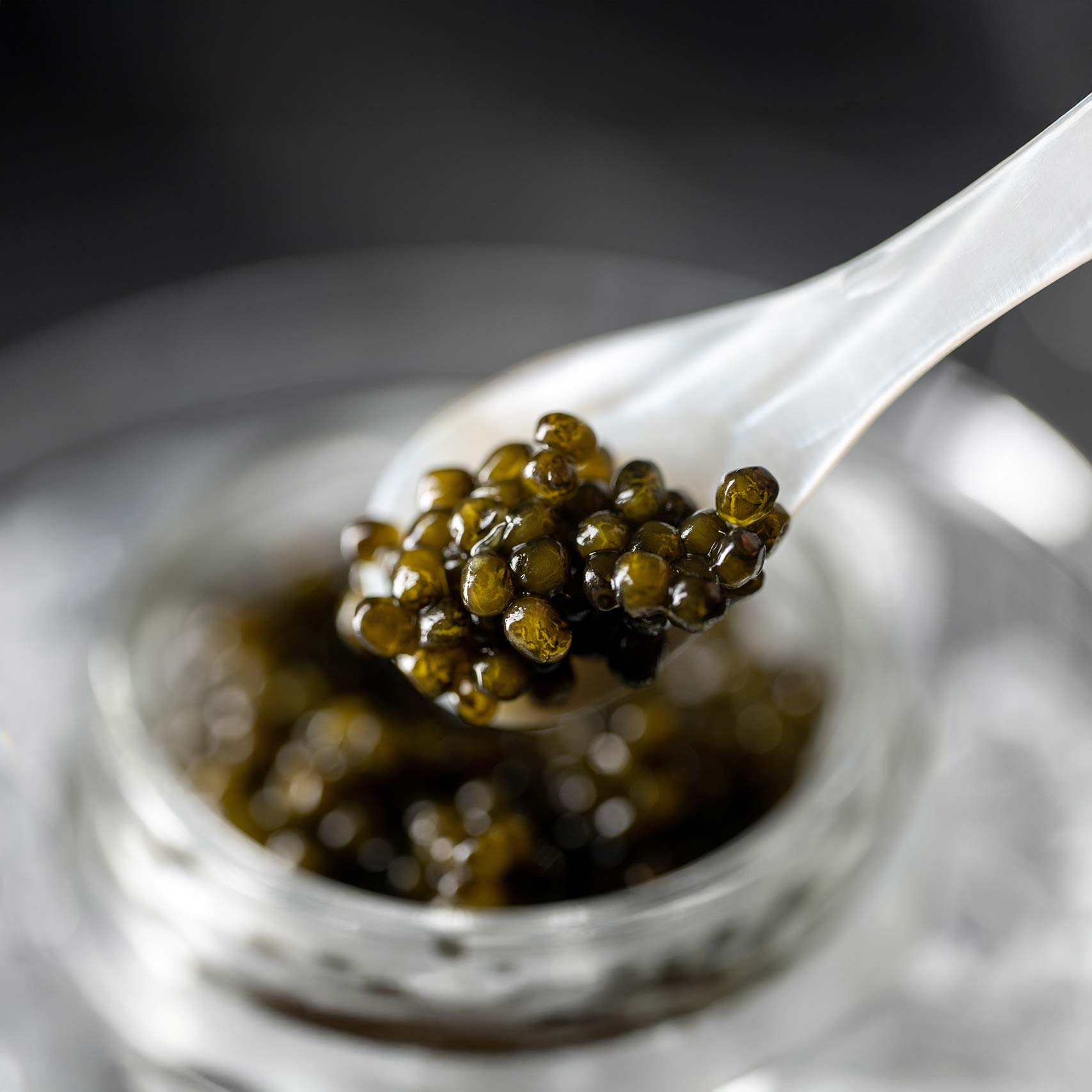 Green palm leaf beside two blank white cards on a white background.