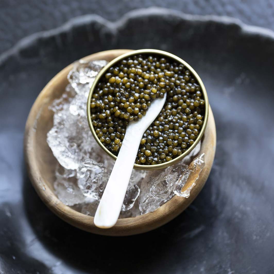 A single green leaf in a clear glass of water on white background.