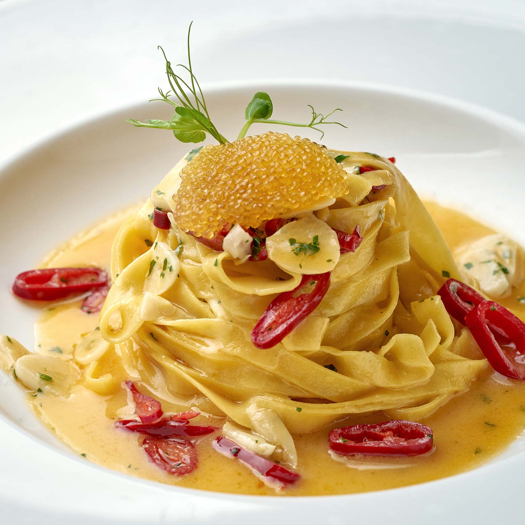 A single green leaf in a clear glass of water on white background.