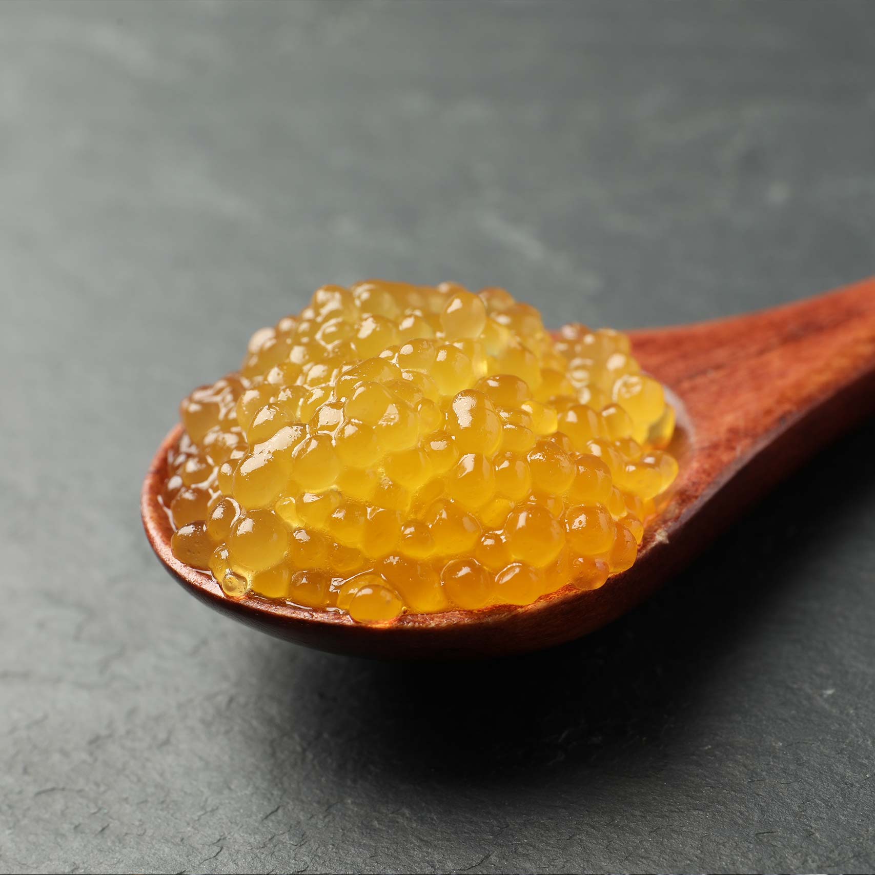 A single Monstera leaf in a clear glass vase against a white background.
