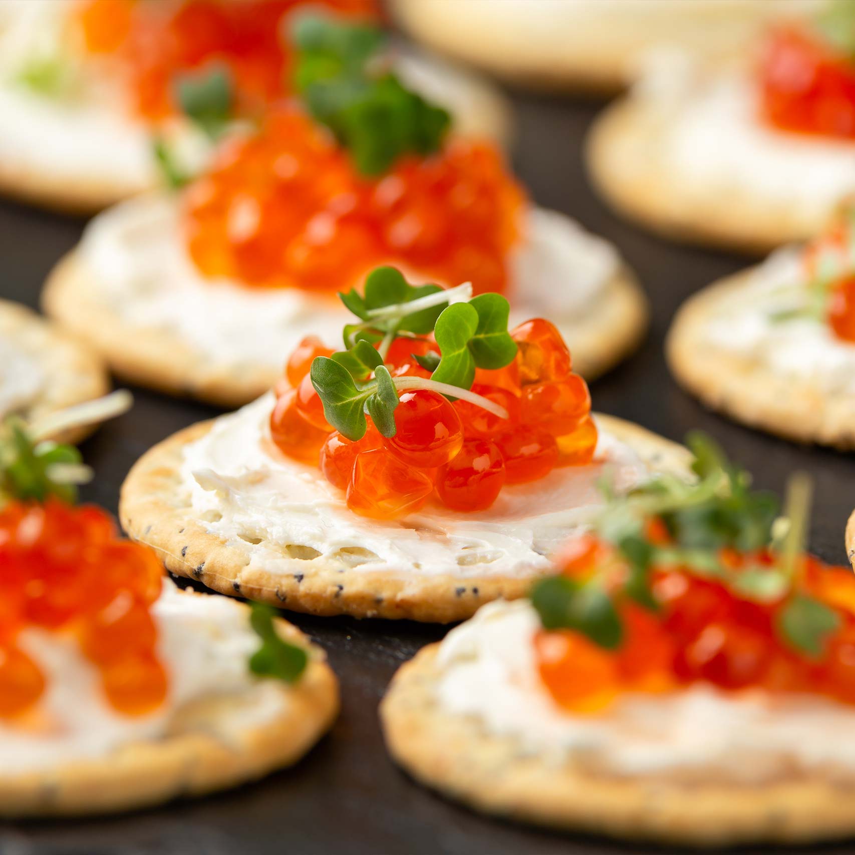 Green palm leaf beside two blank white cards on a white background.