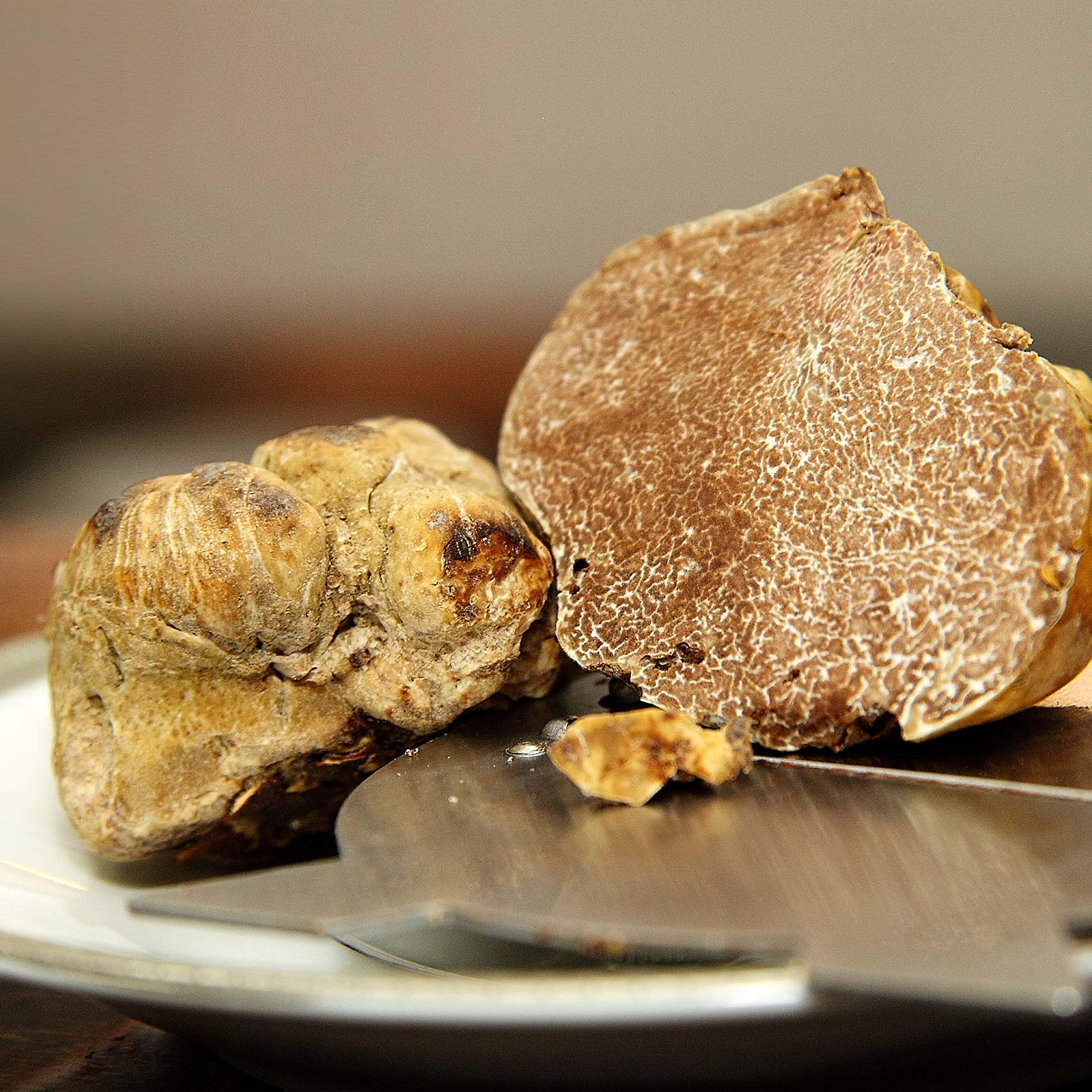 A single Monstera leaf in a clear glass vase against a white background.