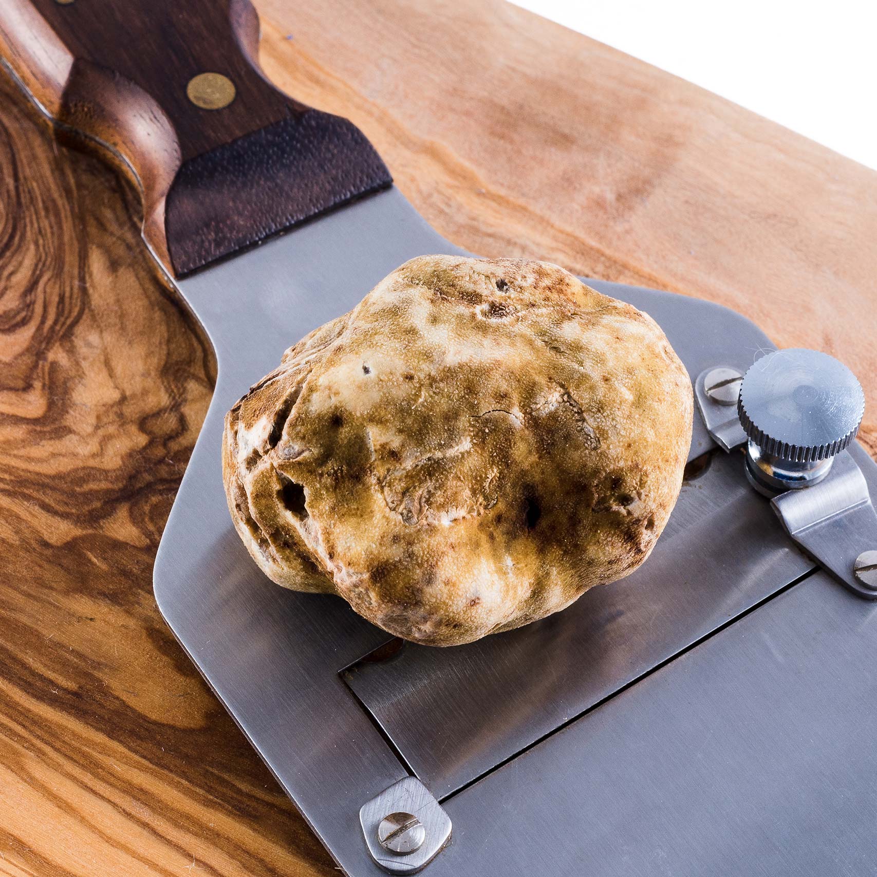 A single Monstera leaf in a clear glass vase against a white background.