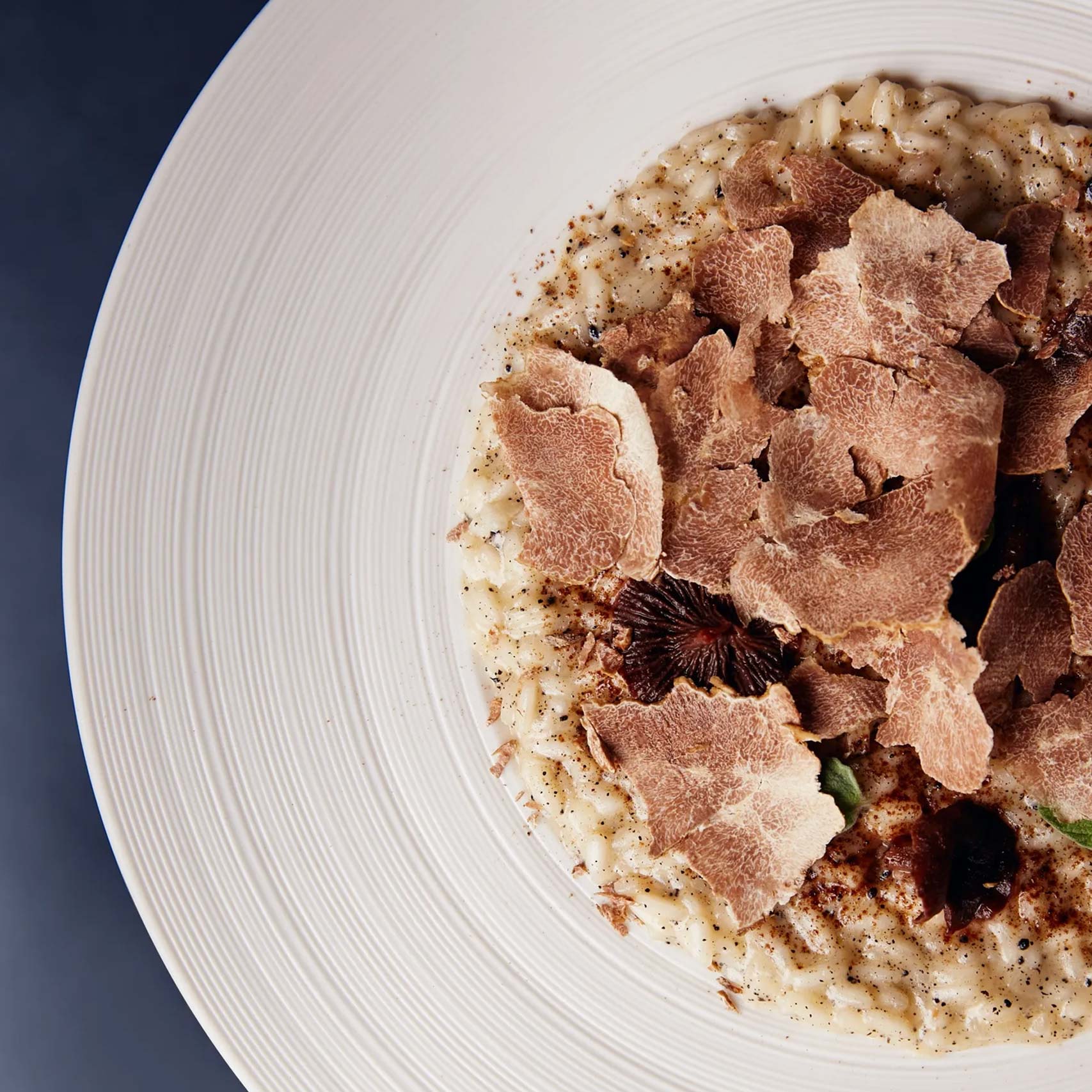A single green leaf in a clear glass of water on white background.