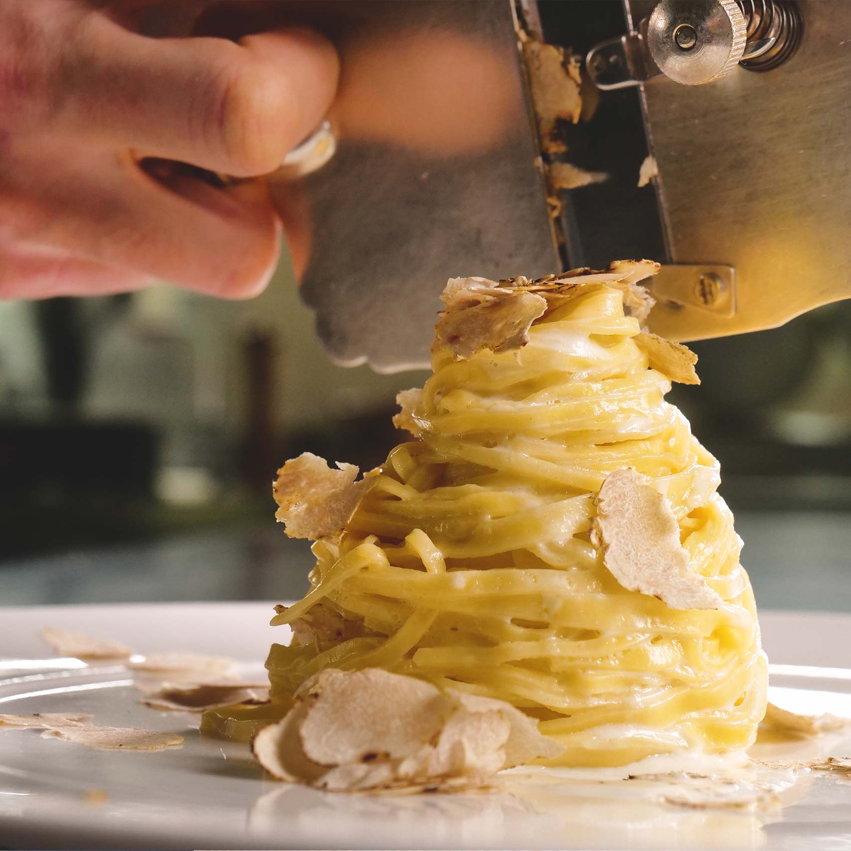 Green palm leaf beside two blank white cards on a white background.