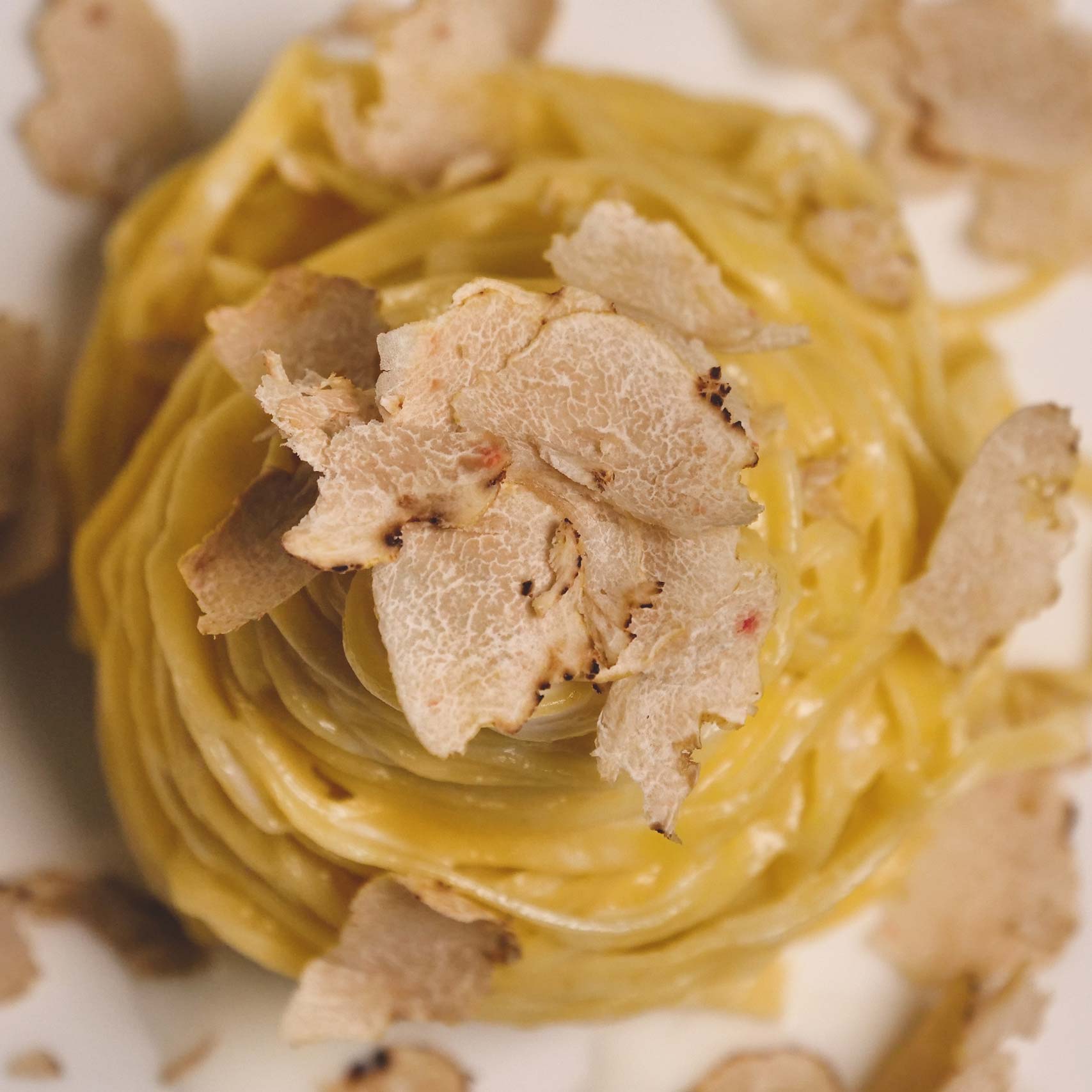White truffle