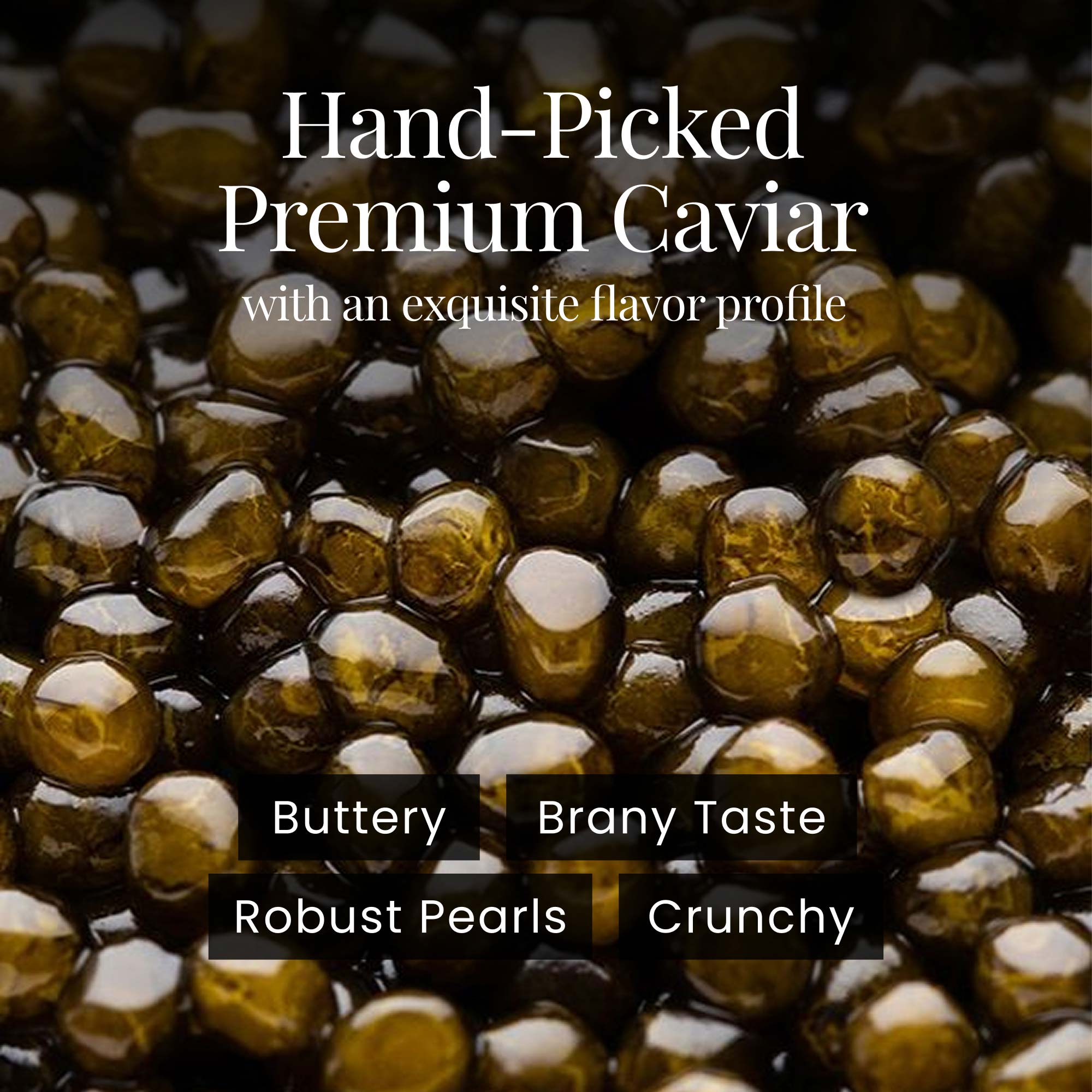 A single green leaf in a clear glass of water on white background.