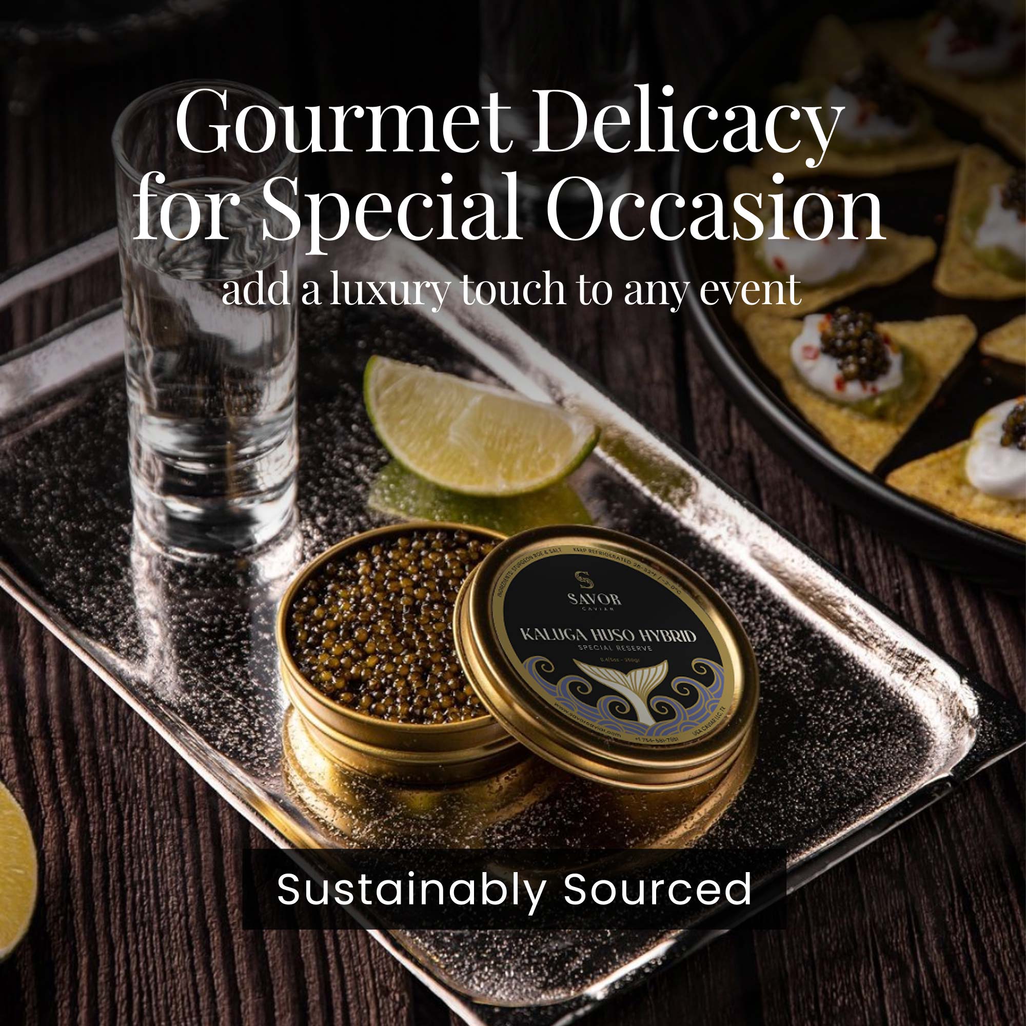 A single Monstera leaf in a clear glass vase against a white background.