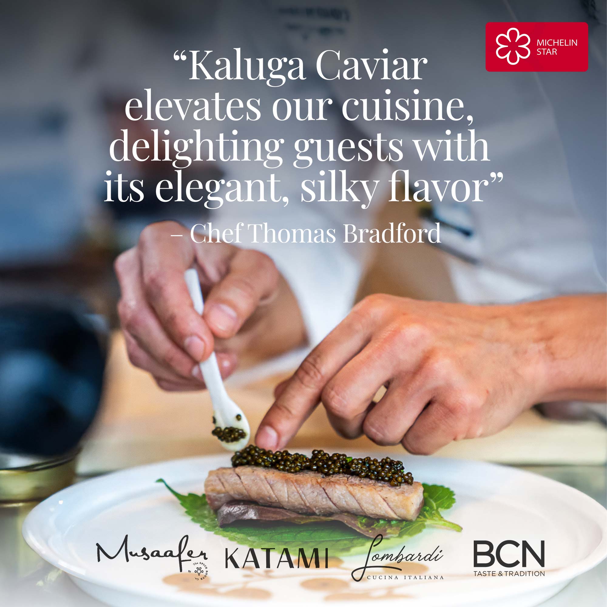 Green palm leaf beside two blank white cards on a white background.