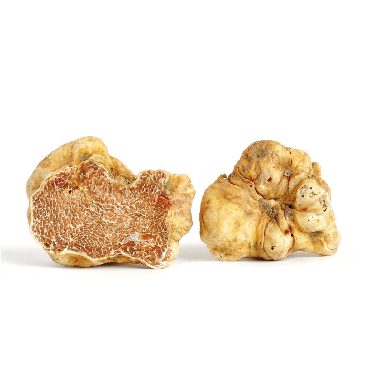 White truffle