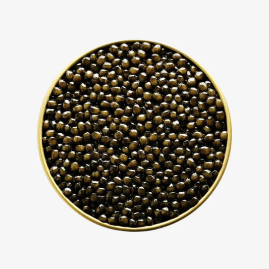 Osetra Caviar