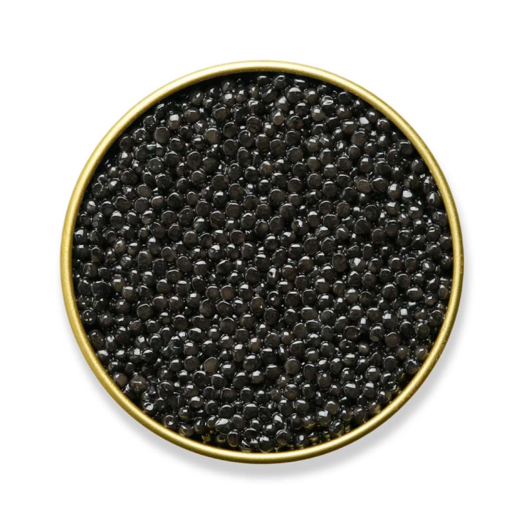 Black caviar in a gold bowl on a white background