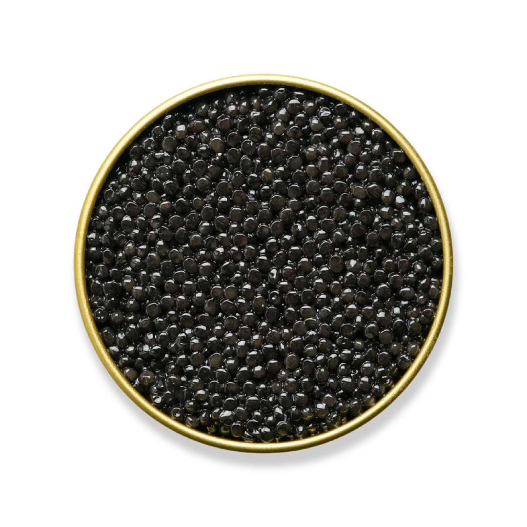 Black caviar in a gold-rimmed bowl on a white background