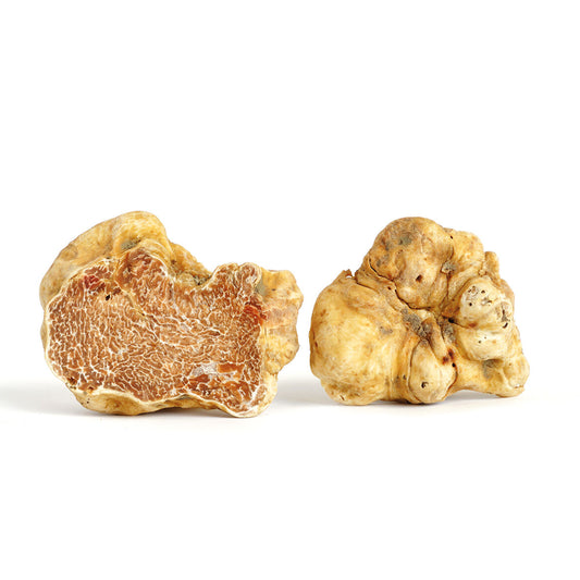White truffle